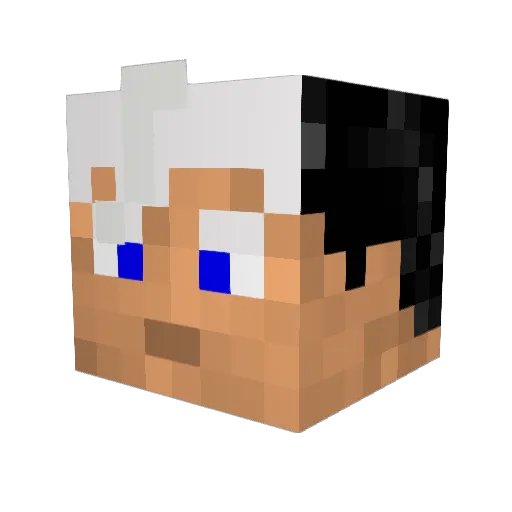 DutchDude65 Minecraft avatar head, 3D render