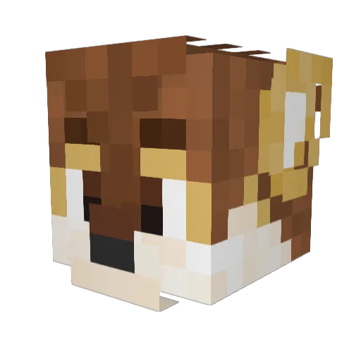 DutchWolf Minecraft avatar head, 3D render