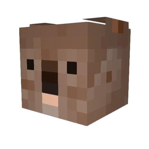 DutchWombat Minecraft avatar head, 3D render
