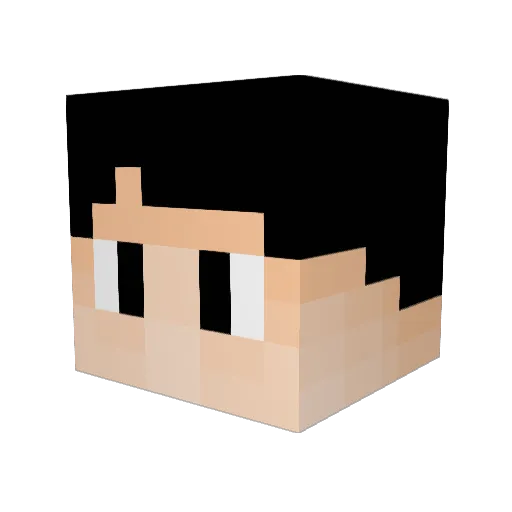 Dutch_088 Minecraft avatar head, 3D render
