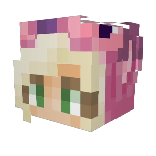 Dutchess77 Minecraft avatar head, 3D render