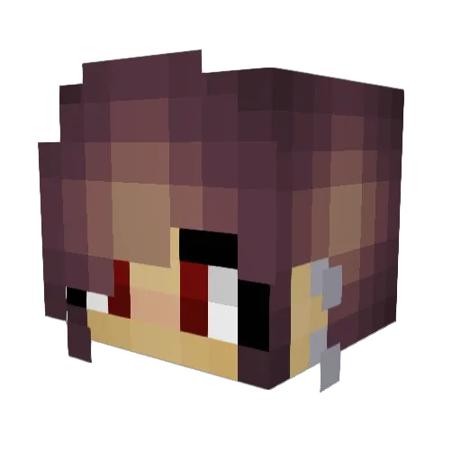 Dutchie1902 Minecraft avatar head, 3D render