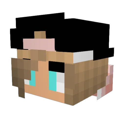 Dutchpanda2003 Minecraft avatar head, 3D render