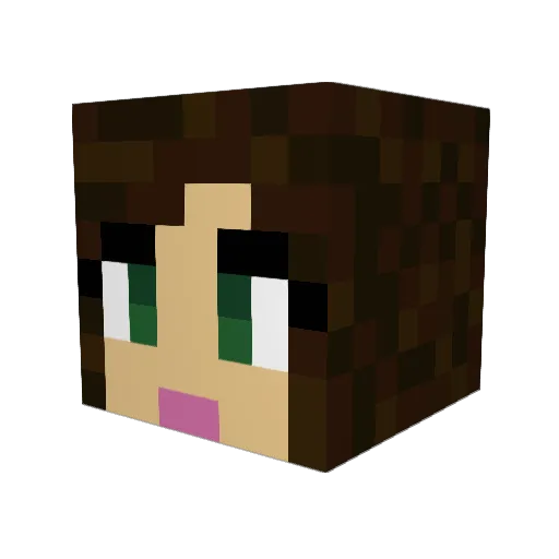 Dutchy03 Minecraft avatar head, 3D render