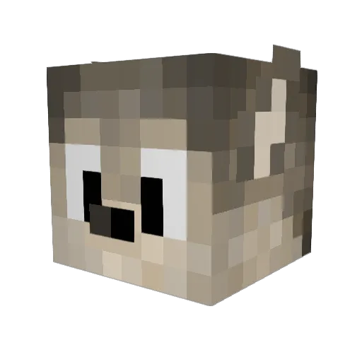 Duuko Minecraft avatar head, 3D render