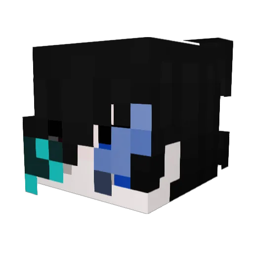 Duuky_ Minecraft avatar head, 3D render