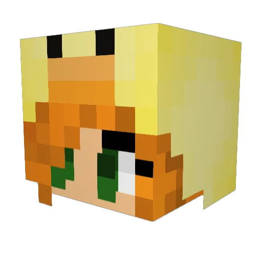 Duuucck Minecraft avatar head, 3D render