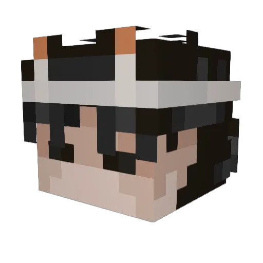 Duva_ Minecraft avatar head, 3D render