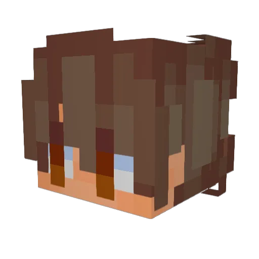 Duwce Minecraft avatar head, 3D render