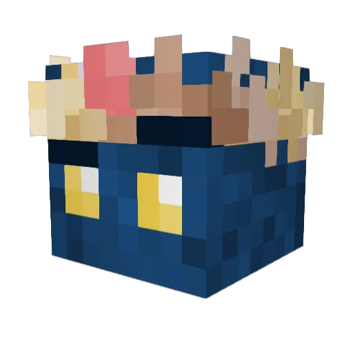 Duweistschonwer Minecraft avatar head, 3D render
