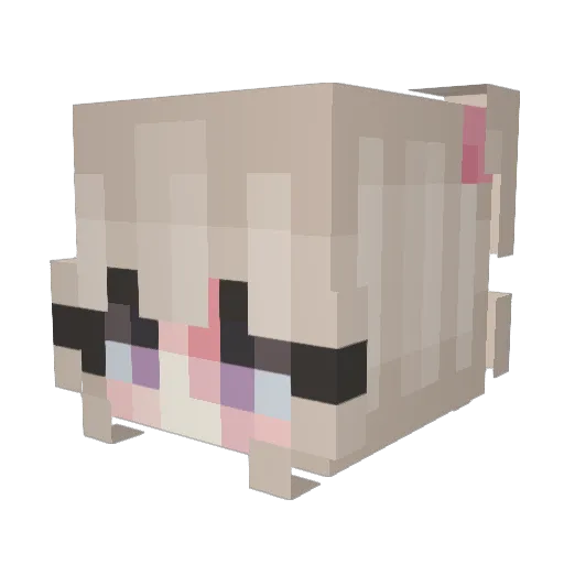 Duwuckyy Minecraft avatar head, 3D render