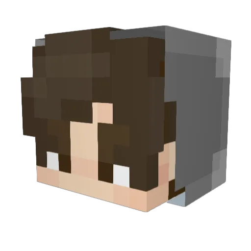 Duxky14 Minecraft avatar head, 3D render