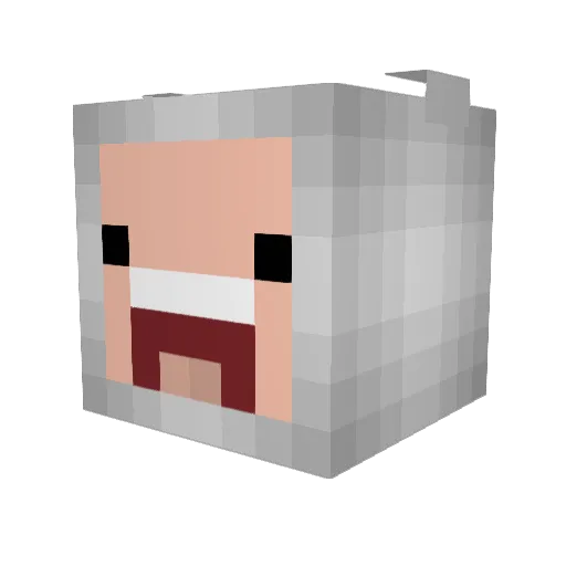 Duxz Minecraft avatar head, 3D render