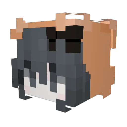 DuyenChu Minecraft avatar head, 3D render