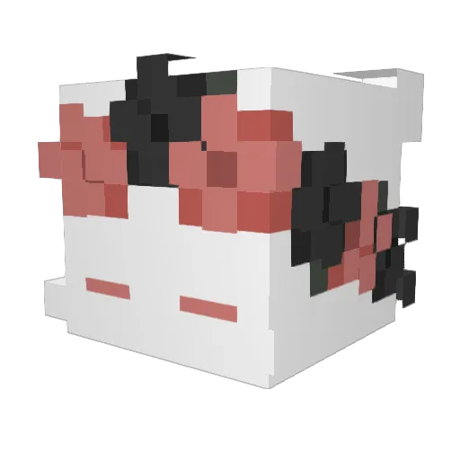 Duyix Minecraft avatar head, 3D render