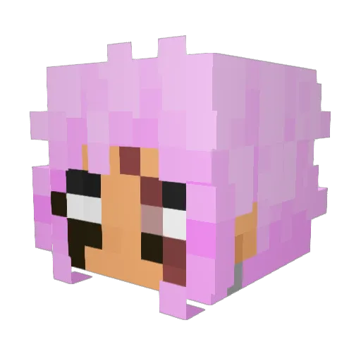 Duzno Minecraft avatar head, 3D render