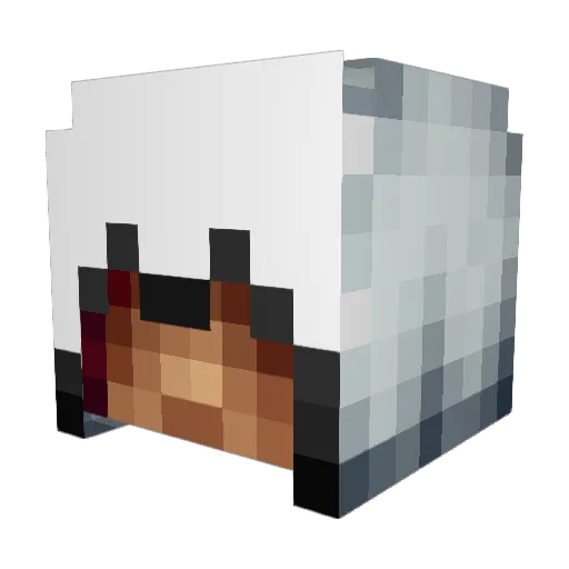 Duzzer0 Minecraft avatar head, 3D render