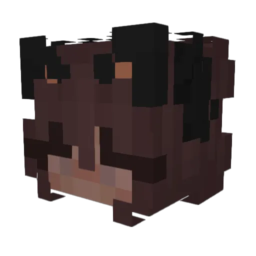 Dvarfoo Minecraft avatar head, 3D render