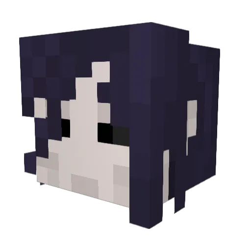 Dvddragon99 Minecraft avatar head, 3D render
