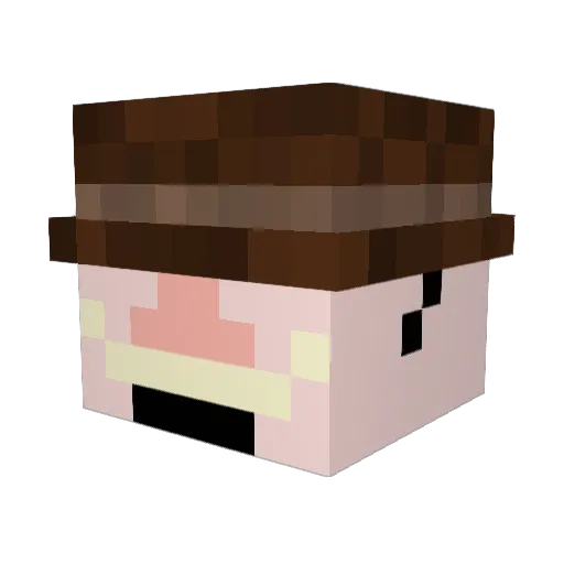 Dvid97 Minecraft avatar head, 3D render