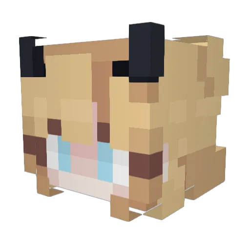 DvlRenq Minecraft avatar head, 3D render