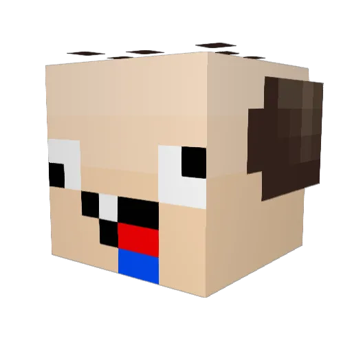 DwaYnator Minecraft avatar head, 3D render