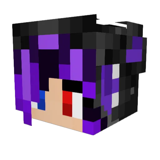 DwagonsWrath Minecraft avatar head, 3D render