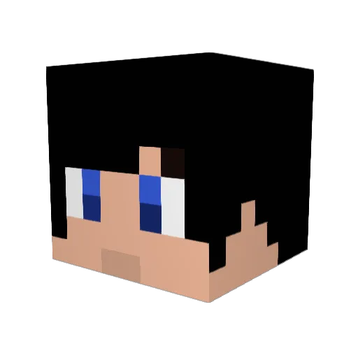 DwarfCaptain Minecraft avatar head, 3D render