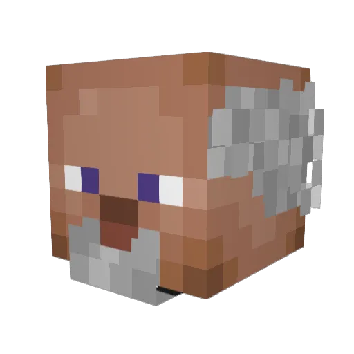 DwarfKnight100 Minecraft avatar head, 3D render