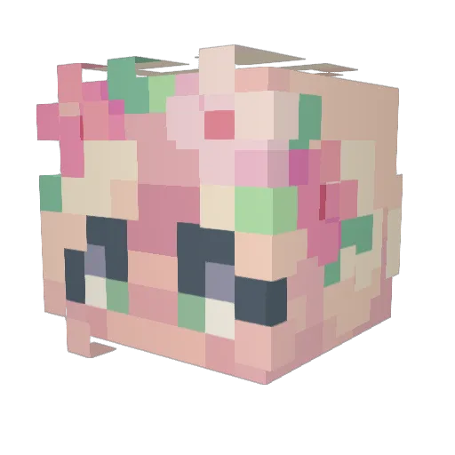 Dwarfwitch Minecraft avatar head, 3D render
