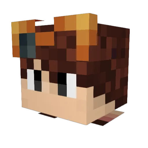 Dweags Minecraft avatar head, 3D render