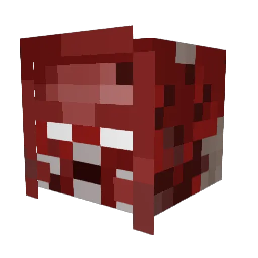 DweebzZz Minecraft avatar head, 3D render