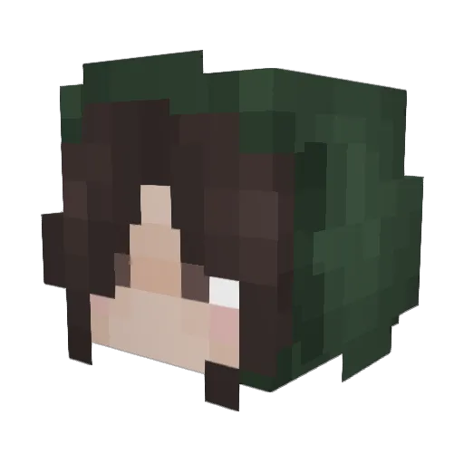 Dweet Minecraft avatar head, 3D render
