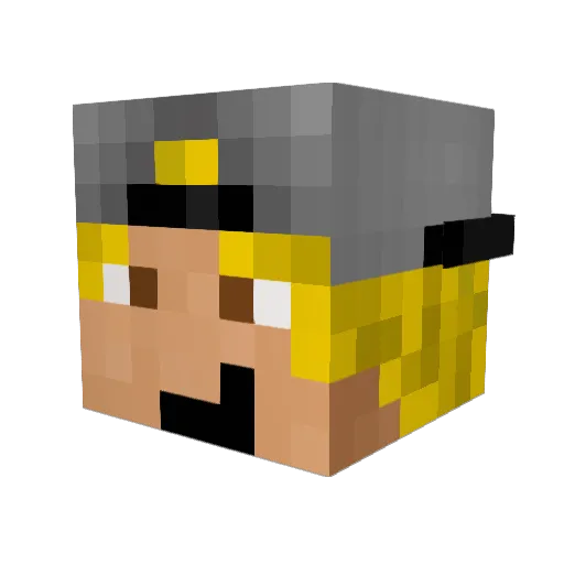 DweezilDavid Minecraft avatar head, 3D render