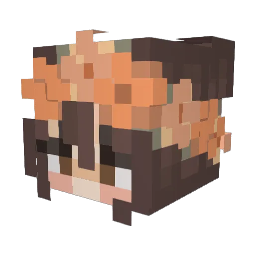 DwegFly Minecraft avatar head, 3D render