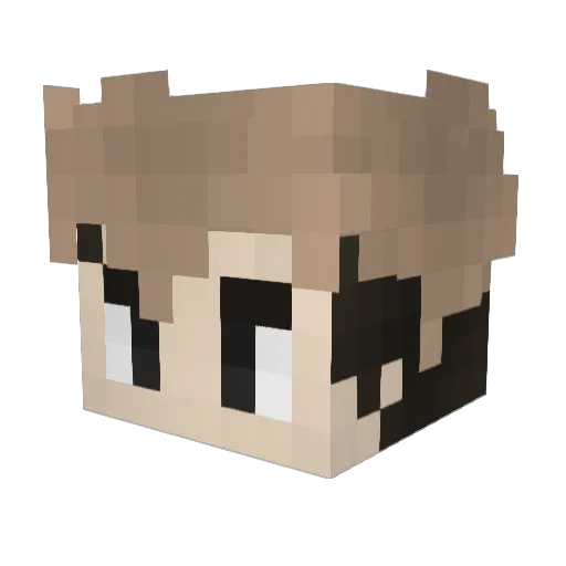 Dwiceman805 Minecraft avatar head, 3D render