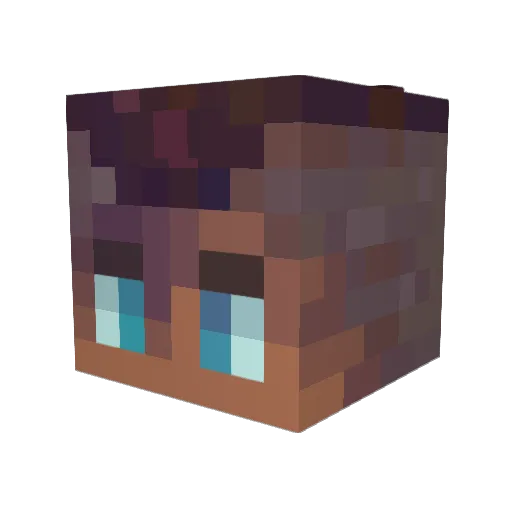 Dwight241 Minecraft avatar head, 3D render