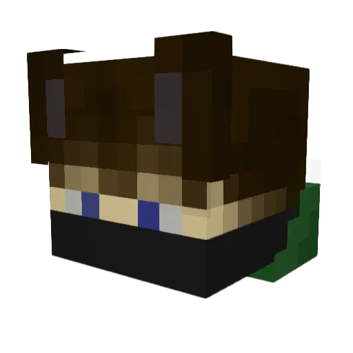 Dwight420 Minecraft avatar head, 3D render