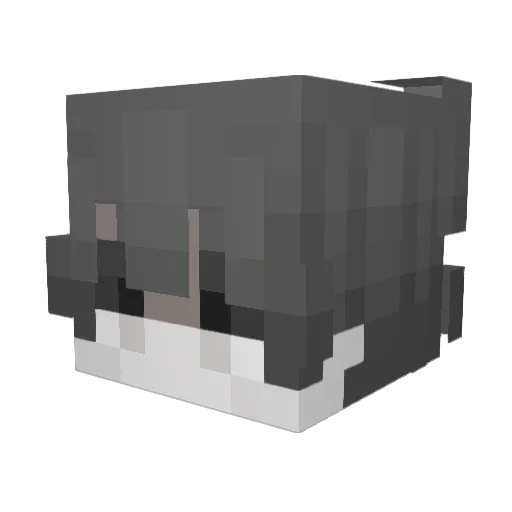 Dwleindra Minecraft avatar head, 3D render