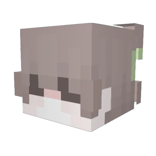 Dwnilo Minecraft avatar head, 3D render