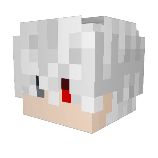 Dx1024 Minecraft avatar head, 3D render