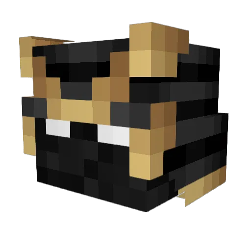 Dxceptinq Minecraft avatar head, 3D render
