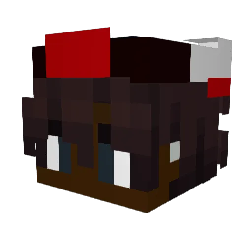 Dxlgxdo Minecraft avatar head, 3D render