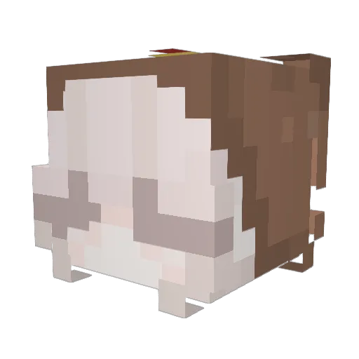 Dxmplz Minecraft avatar head, 3D render