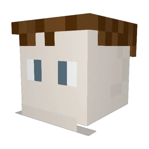 Dxn8173 Minecraft avatar head, 3D render