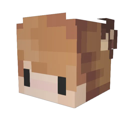 Dxni_ Minecraft avatar head, 3D render