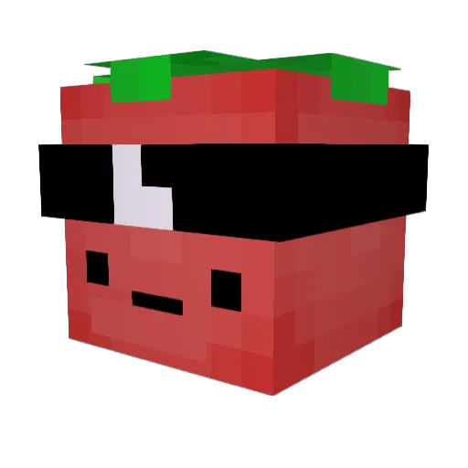 Dxnie Minecraft avatar head, 3D render