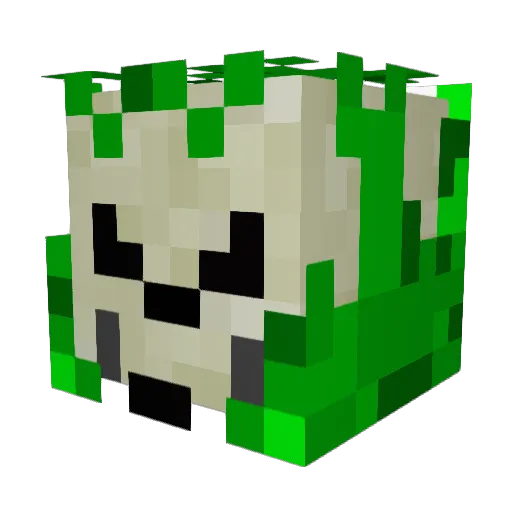 Dxnkxl Minecraft avatar head, 3D render