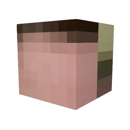 Dxnx26 Minecraft avatar head, 3D render