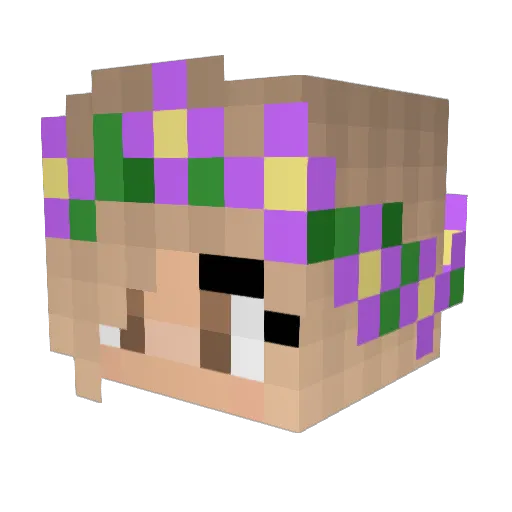 DxpressedBurqer Minecraft avatar head, 3D render